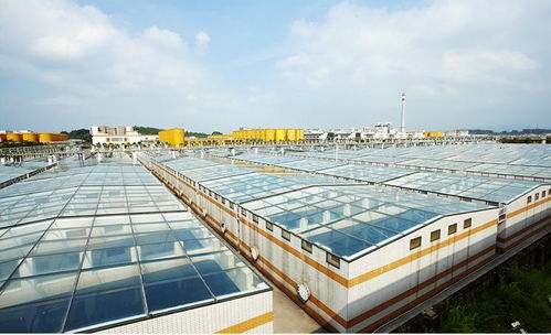 中國食品制造大王 調味品界的茅臺，億萬富豪工廠的“不打醬油”經營哲學